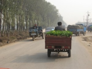 random1 random China photo