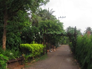 IMG_0175 the lane up to guesthouse restaurant where we ate