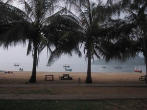 Palm trees at the beach 