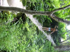 narrow path to the large pool