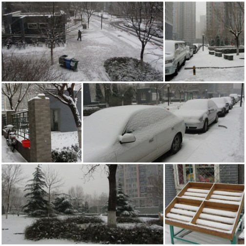 Some shots of my compound in the snow