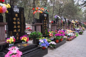 Qing Ming Jie at Babaoshan Revolutionary Cemetary