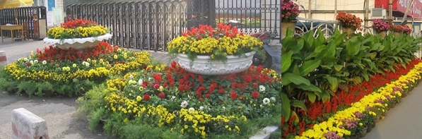 Patriotic displays of red and yellow flowers are common during National Holiday (these are from my first October, in 2004).