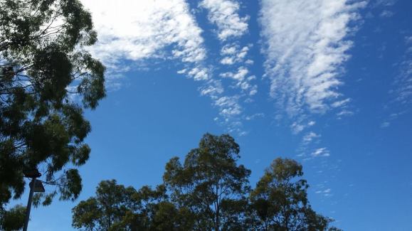 11012915_10155232855940207_4552294249538845083_n