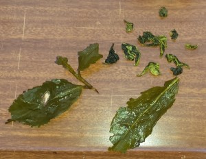 Oolong tea leaves, before and after steeping. (A semi-fermented tea.)