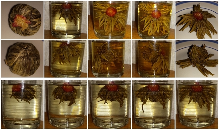 A blooming tea opening. Front and side/back views, dry, steeped 5, 10 and 20 mins, and after steeping. Bottom row: the tea unfurling over 5 minutes.