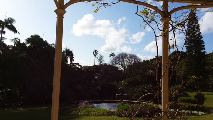 My view of the gardens toward the bay from the verandah of the house.