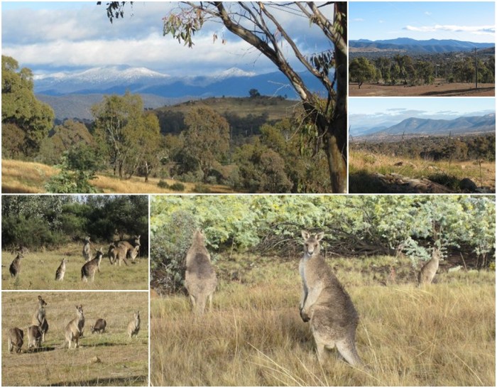 farrer-ridge_view-roo