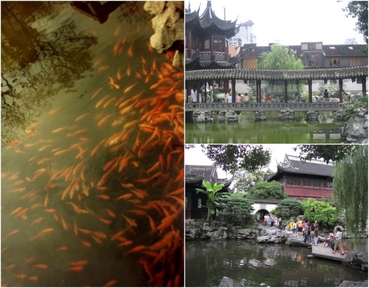 Yuyuan ponds. Left: March 1983; top right: July 2004; bottom right: June 2012.