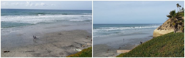 Looking out at the Pacific Ocean from Fletcher Cove Park